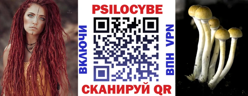 купить  сайты  Норильск  площадка состав  Галлюциногенные грибы Psilocybe 