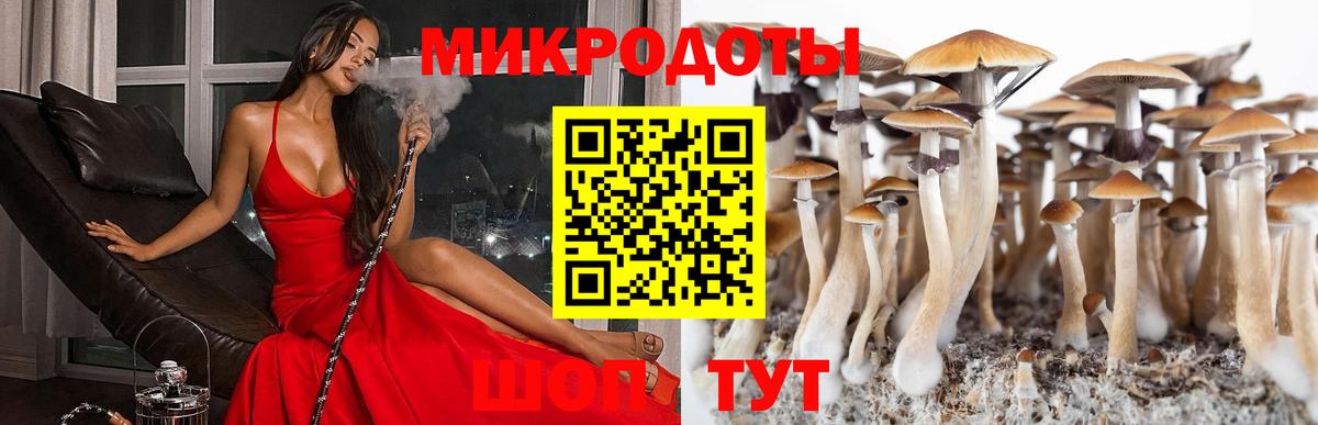 Псилоцибиновые грибы прущие грибы Норильск